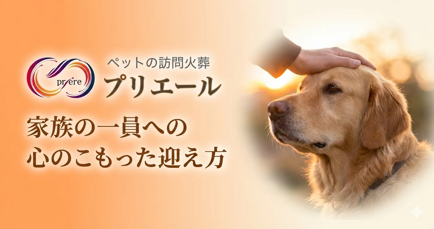 投稿サムネイル