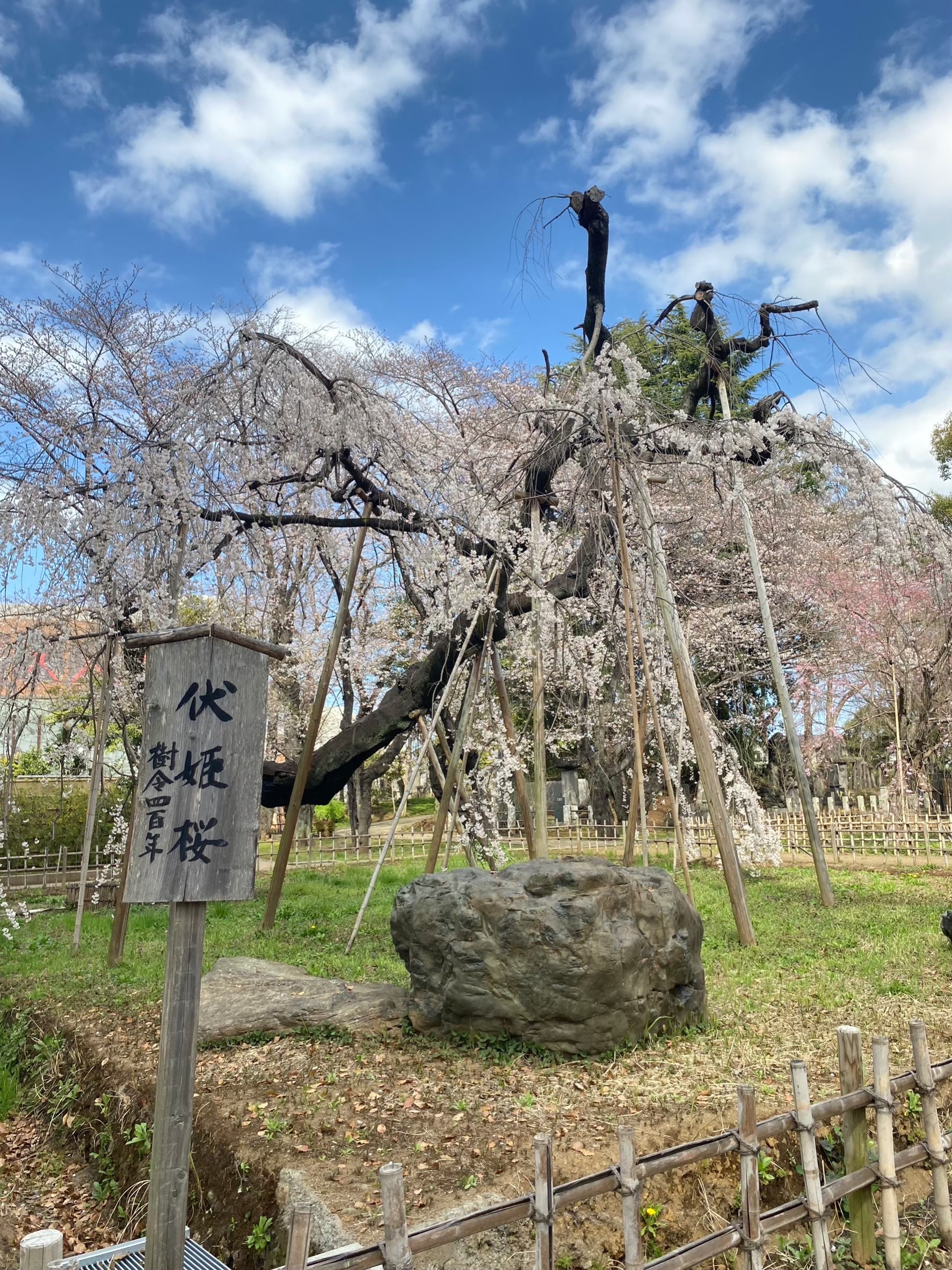 投稿サムネイル