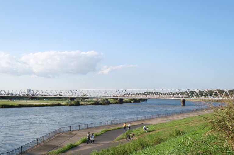 江戸川河川敷緑地