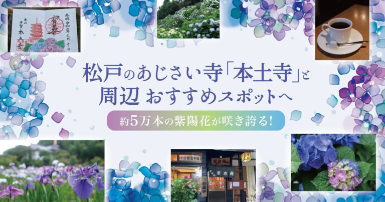約5万本の紫陽花が咲き誇る！松戸のあじさい寺「本土寺」と周辺おすすめスポットへ
