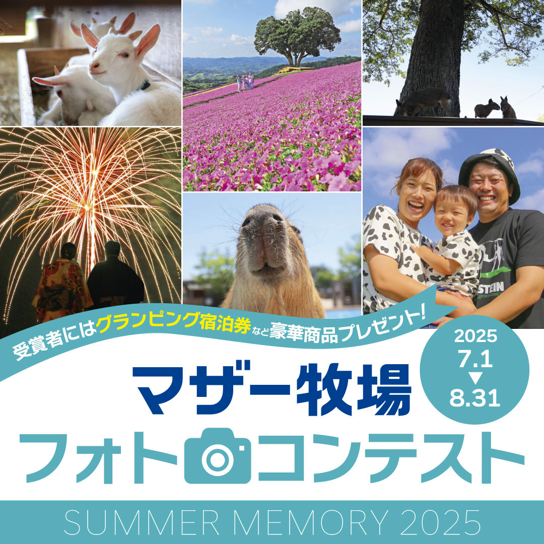 投稿サムネイル