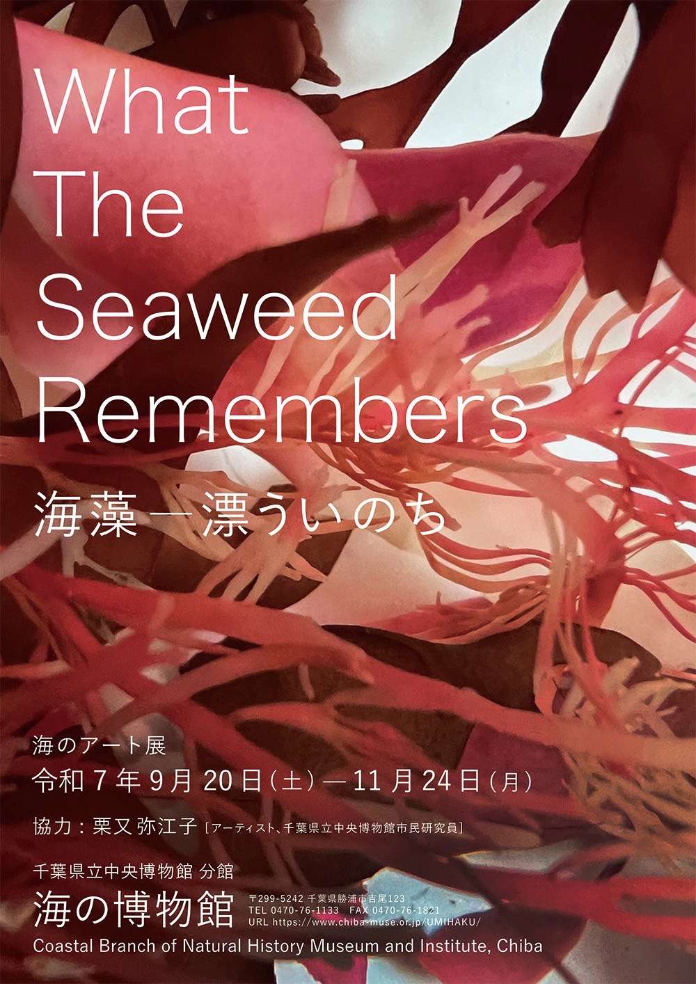 投稿サムネイル