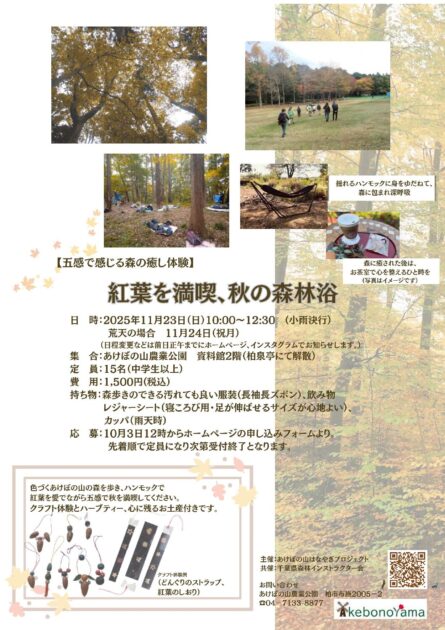 紅葉を満喫、秋の森林浴～五感で感じる森の癒し体験～（あけぼの山農業公園）