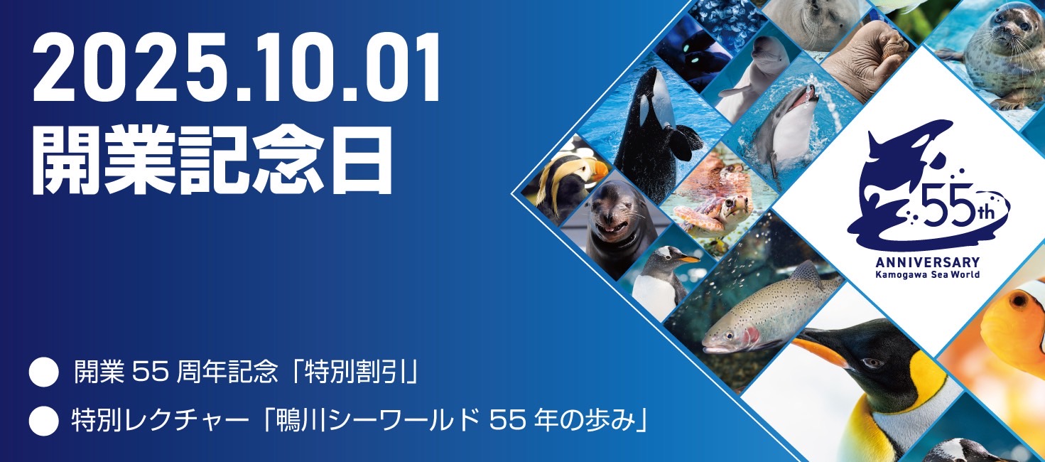 投稿サムネイル