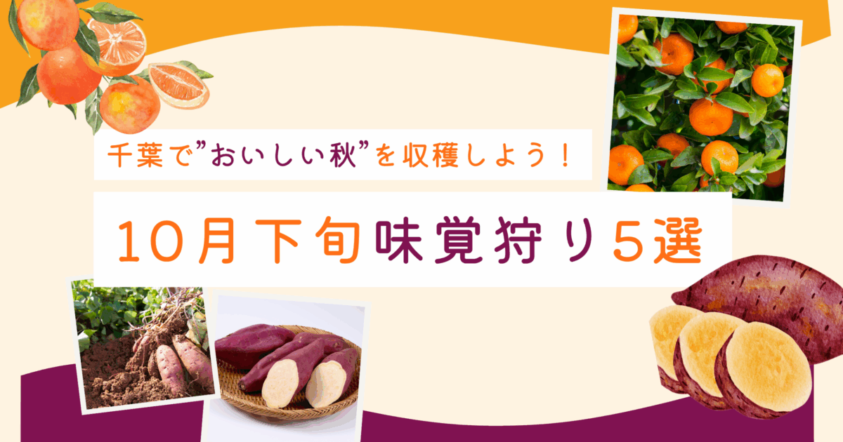 千葉で“おいしい秋”を収穫しよう！——10月下旬に行ける味覚狩り5選