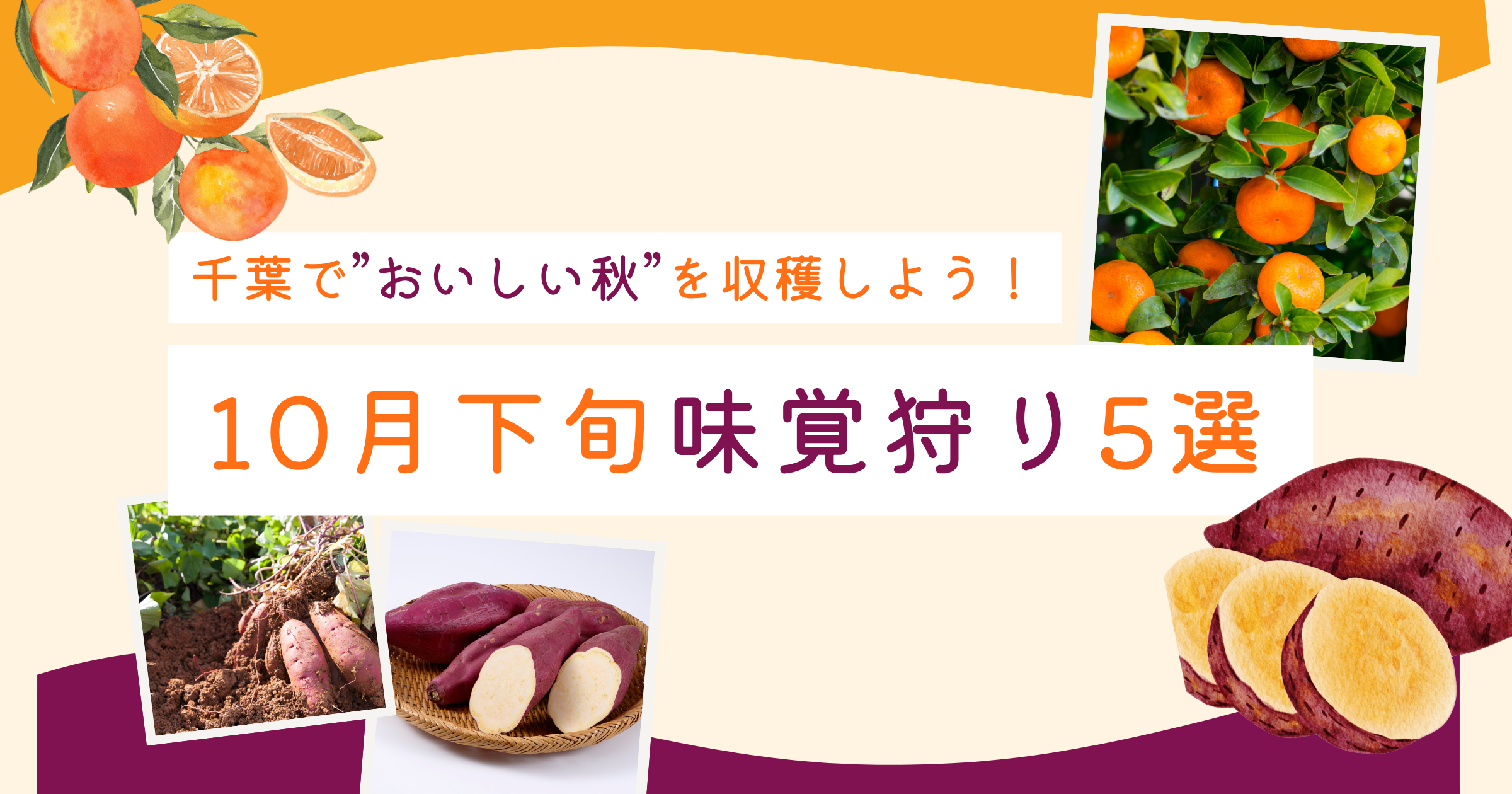 千葉で“おいしい秋”を収穫しよう！——10月下旬に行ける味覚狩り5選