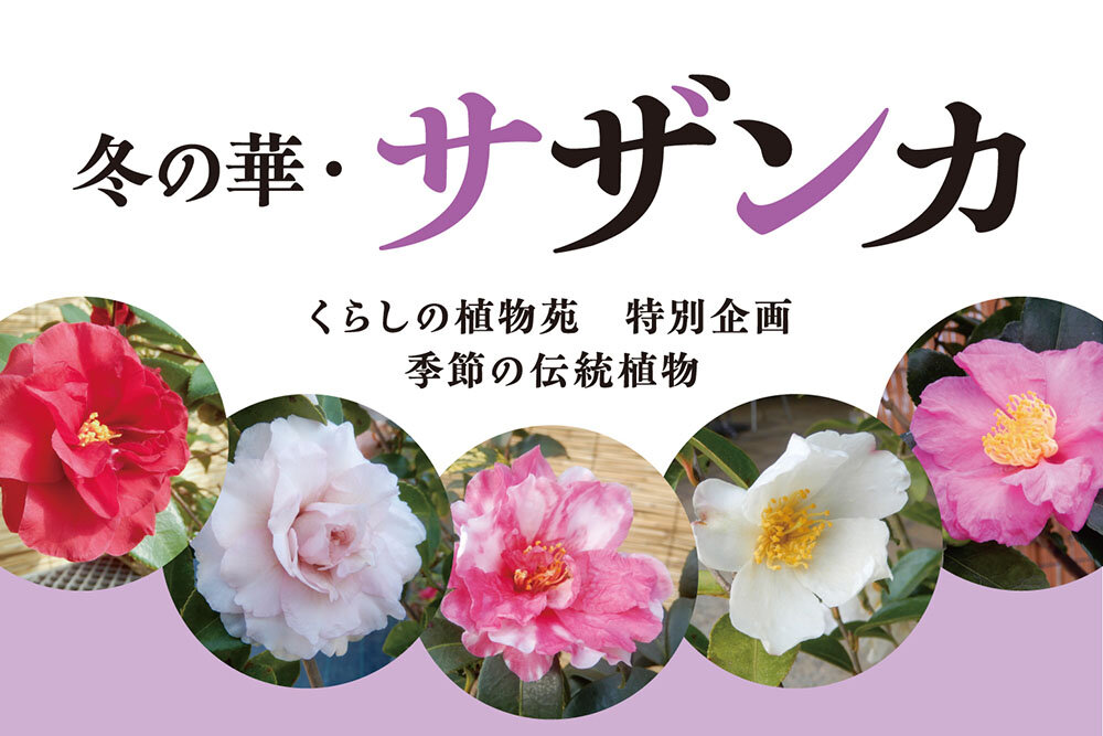 投稿サムネイル