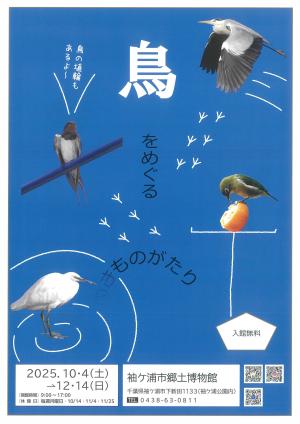 令和7年度企画展2「鳥をめぐるものがたり」