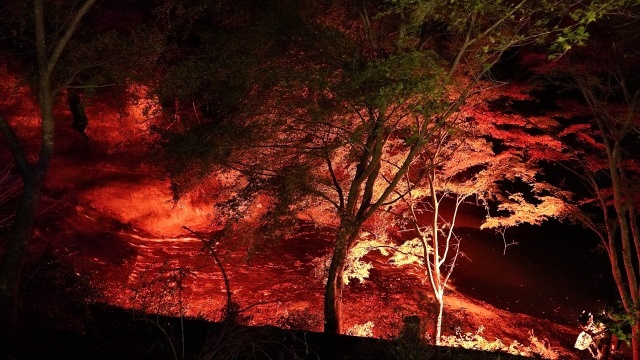 投稿サムネイル