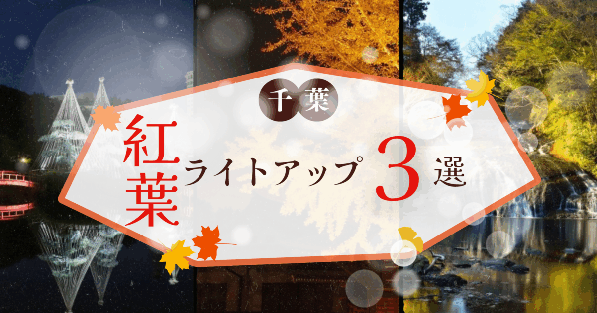 千葉の紅葉ライトアップBEST3！幻想的な水鏡と黄金に輝くパワースポット