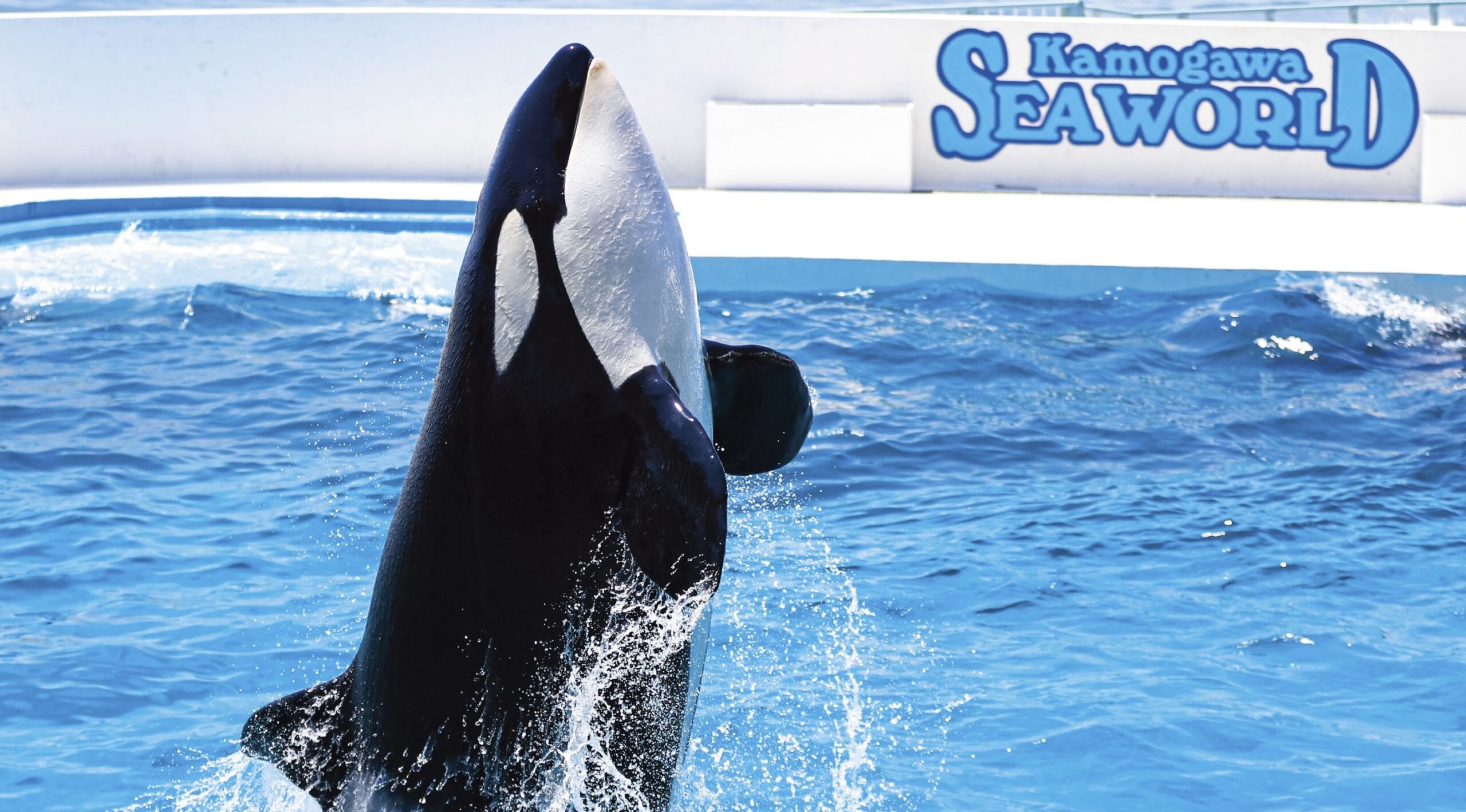 投稿サムネイル