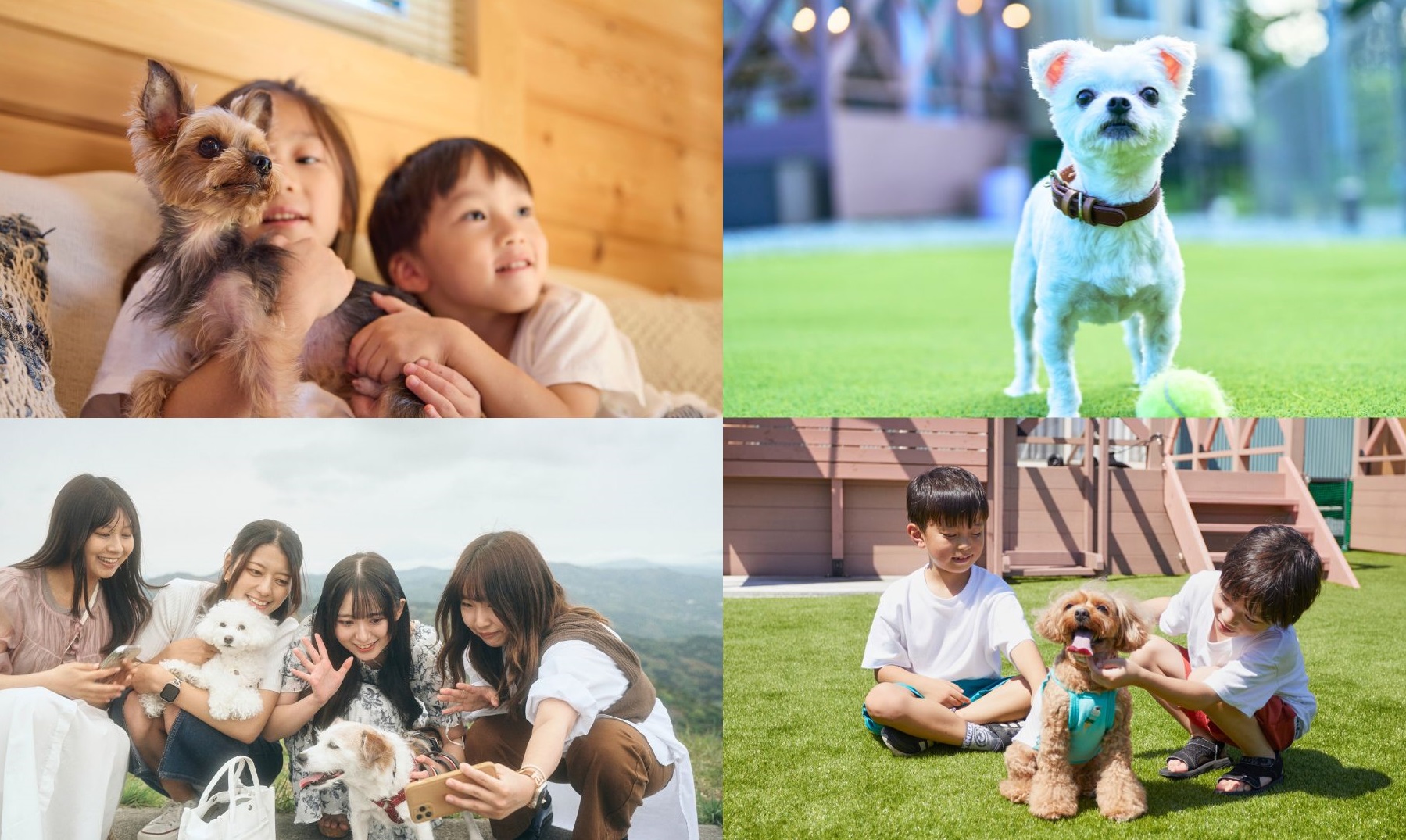 投稿サムネイル