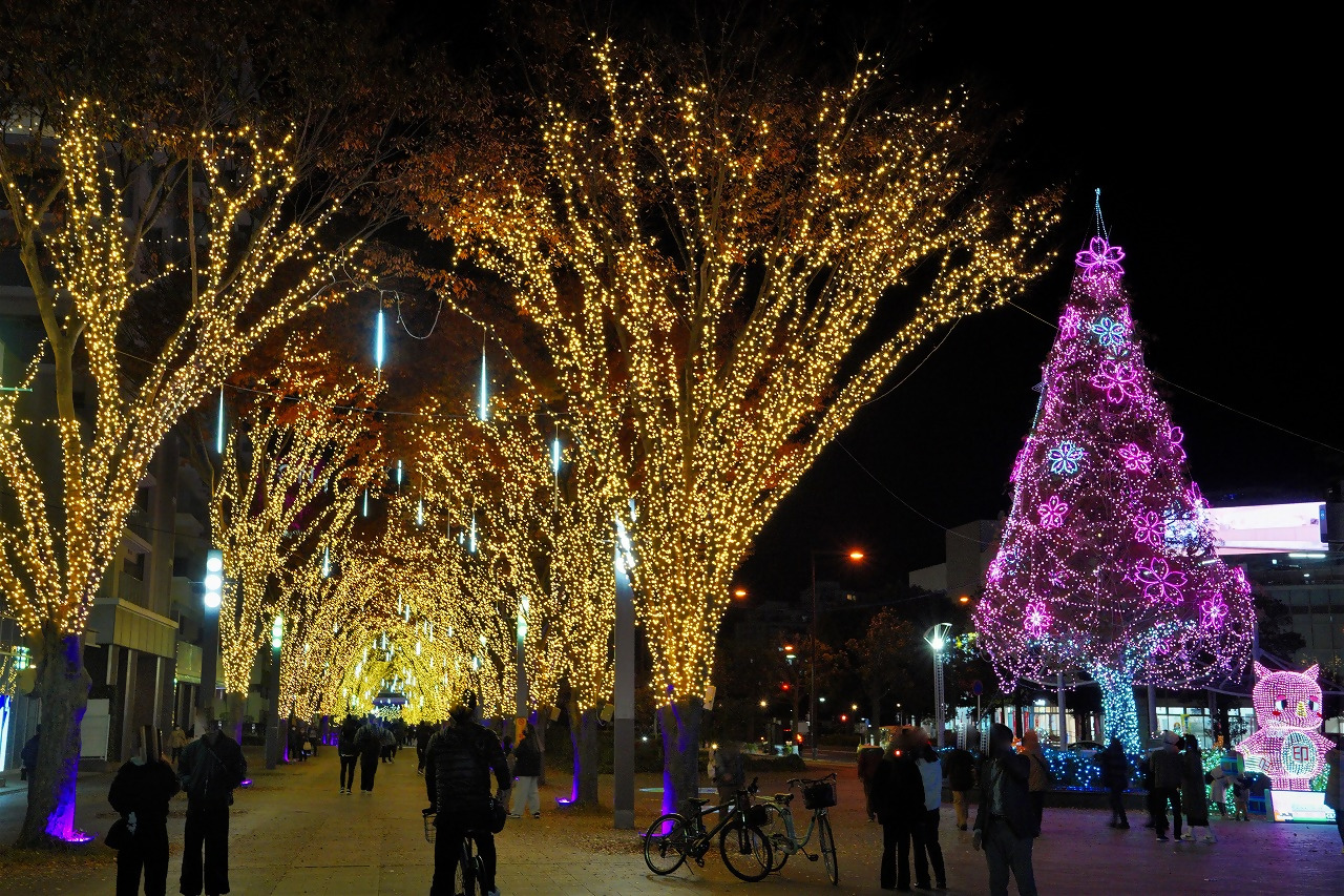 投稿サムネイル