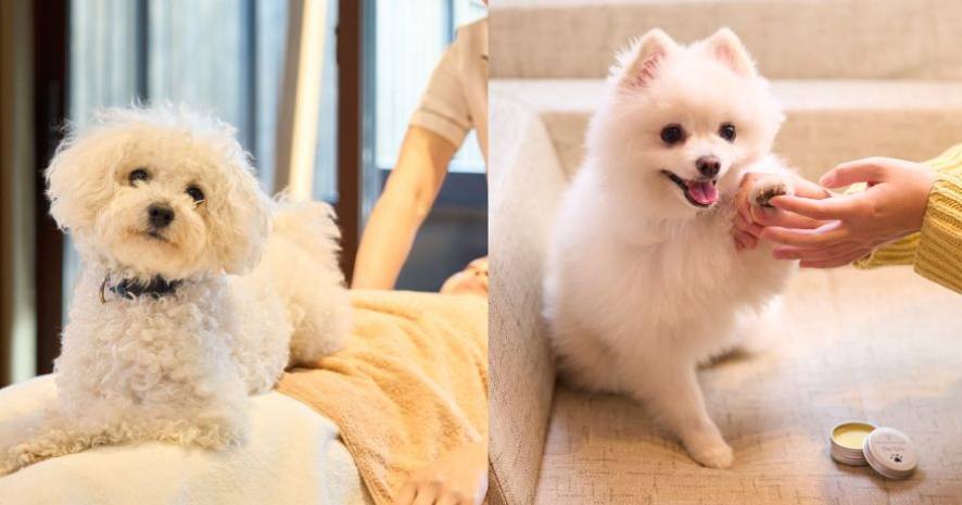 投稿サムネイル