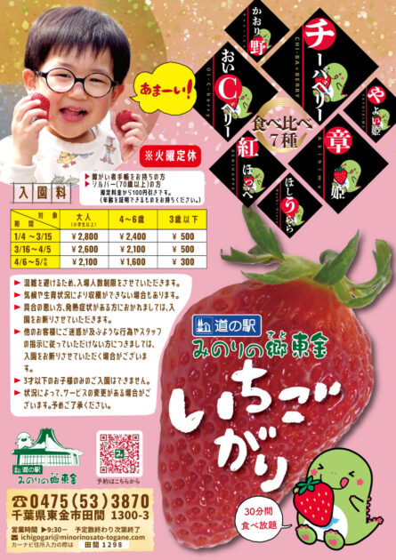 いちご狩り　道の駅 みのりの郷 東金