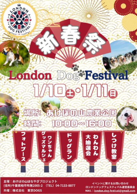 ロンドンドッグフェスティバル