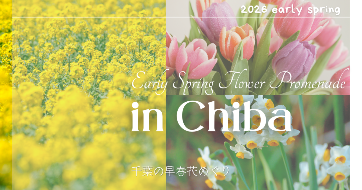 【2026年】千葉の早春花スポット5選｜菜の花・水仙・チューリップの見頃とアクセス情報