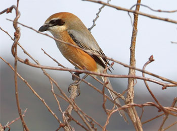 投稿サムネイル