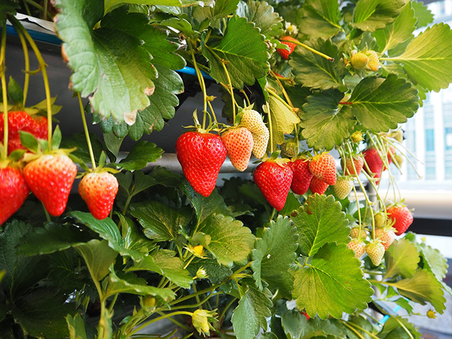 投稿サムネイル