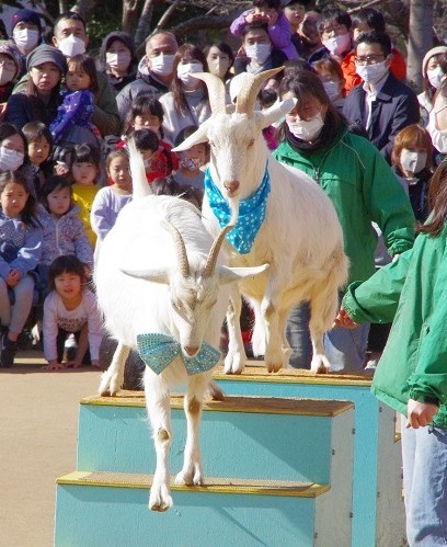 投稿サムネイル