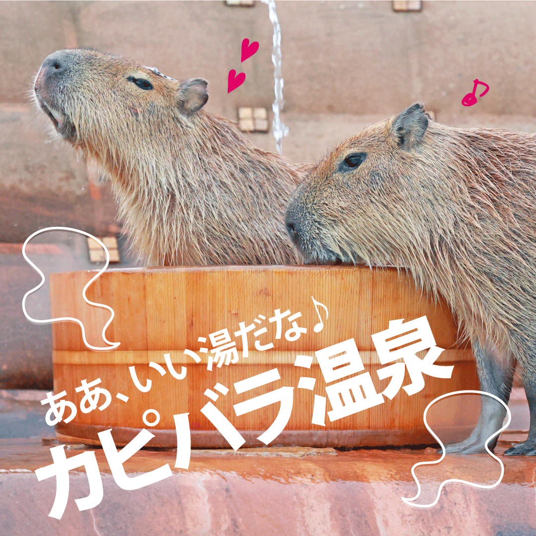 投稿サムネイル