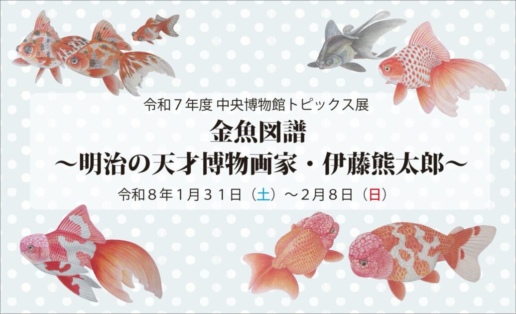 金魚図譜〜明治の天才博物画家・伊藤熊太郎〜