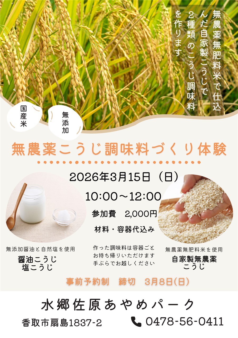 投稿サムネイル