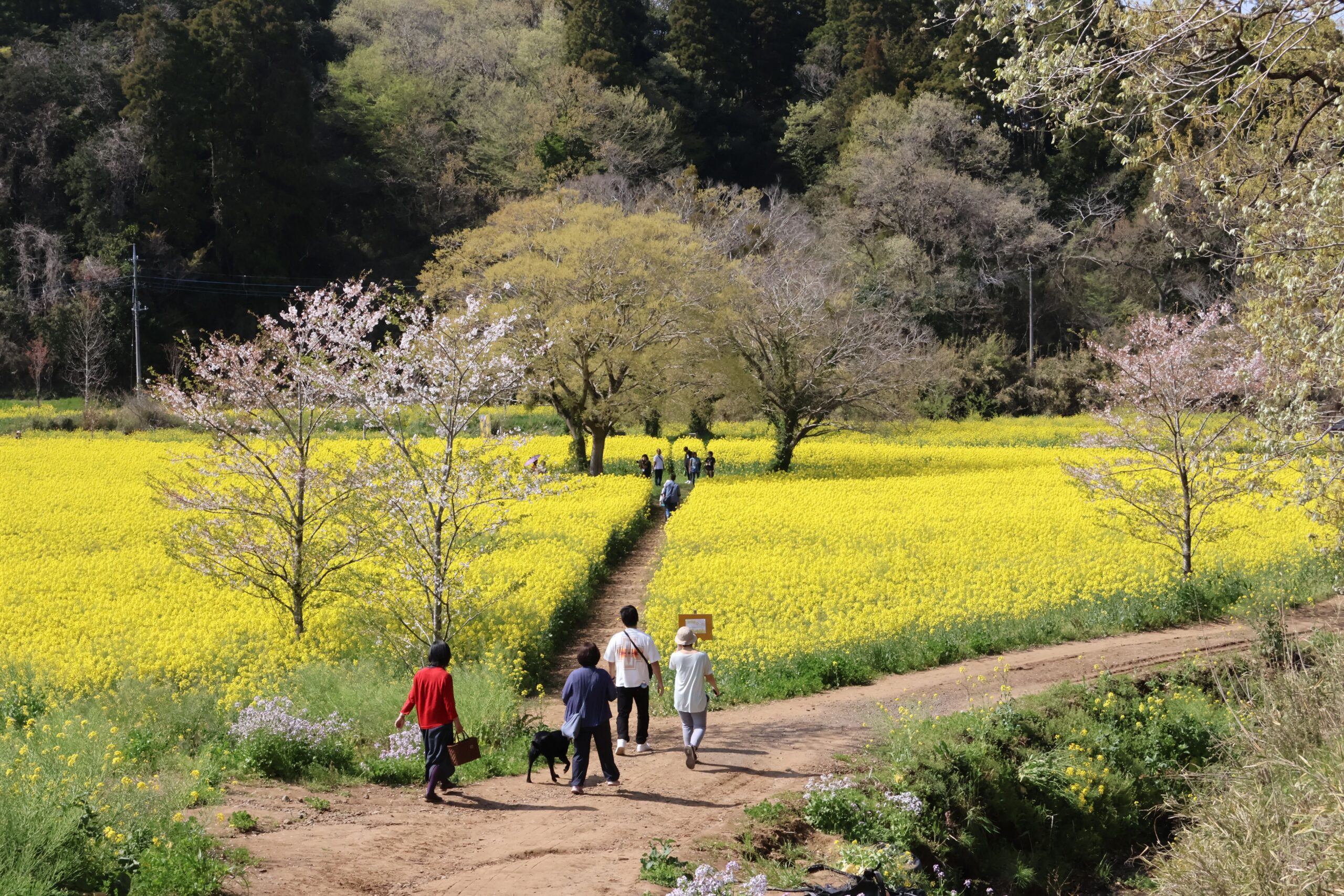 投稿サムネイル