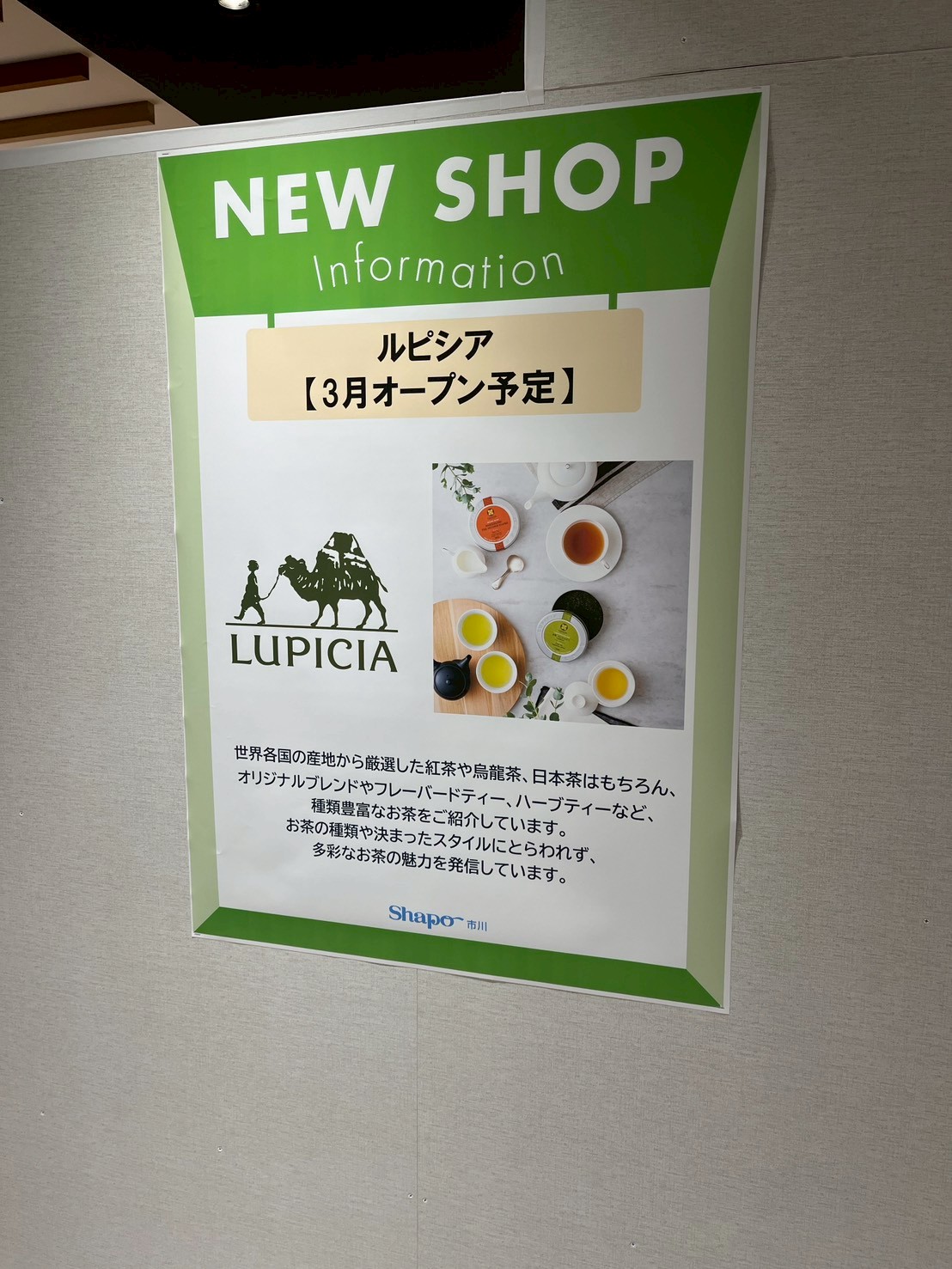 投稿サムネイル