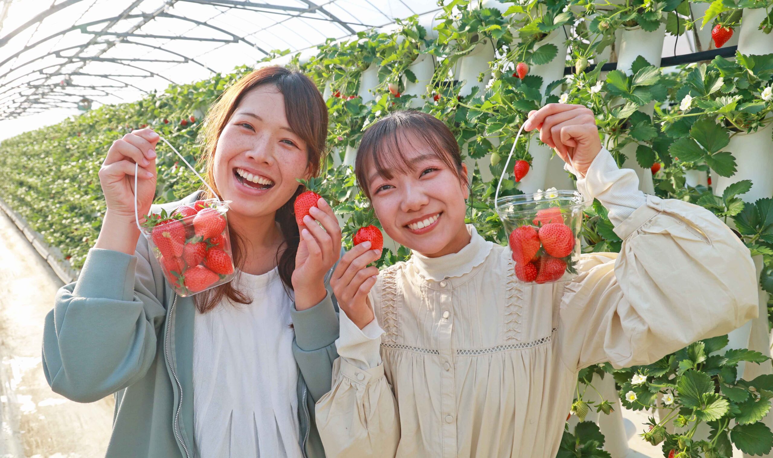 投稿サムネイル