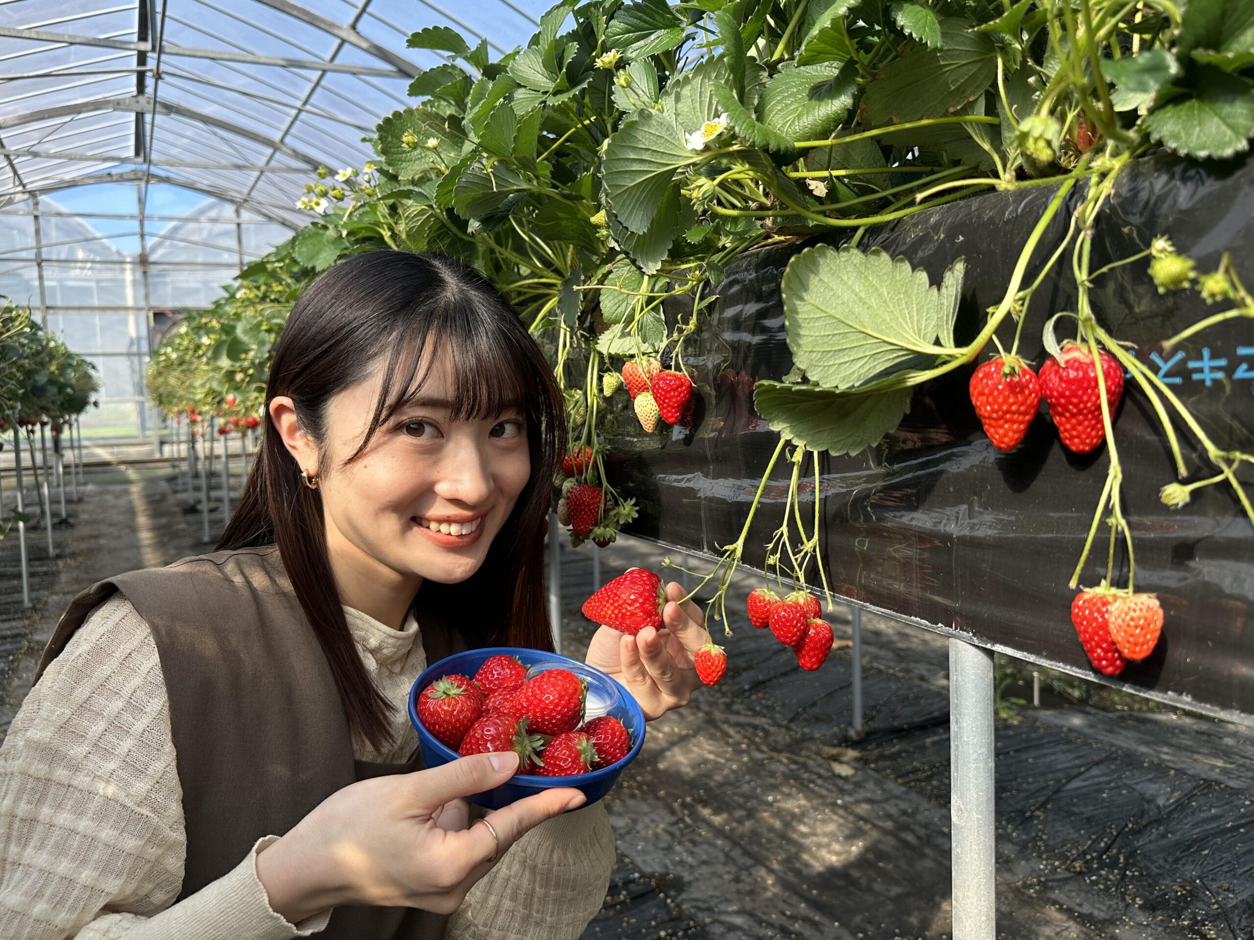 投稿サムネイル