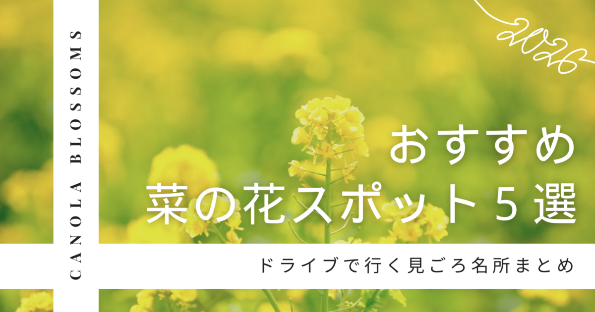 【2026年】千葉県おすすめ菜の花スポット5選！ドライブで行く見ごろ名所まとめ